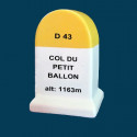 Petit Ballon